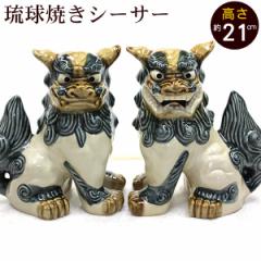 �V�[�T�[ �����Ă� �����������i��j�@/���� �₿�ނ� �V�[�T�[ �u�� ���� ������