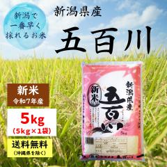 新米＞【令和7年産】新潟県産 虹の煌めき 10kg 【送料無料※沖縄