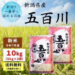 Vāyߘa7NYz VY ܕS 10kg i5kg~2܁jy ւ͑2,200~z  10L   V 10kg 