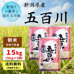 Vāyߘa7NYz VY ܕS 15kg i5kg~3܁jy ւ͑2,200~z  15L   V 15kg 