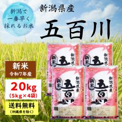 Vāyߘa7NYz VY ܕS 20kg i5kg~4܁jy ւ͑2,200~z  20L   V 20kg 