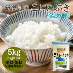 【令和6年産】新潟県産 こしいぶき 5kg (5キロ×1袋) 【送料無料 ※沖縄へは送料2,200円】 米 5キロ 送料無料 精米 令和6年 5kg お米 5
