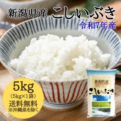 yߘa7NYzVY Ԃ 5kg i5L~1܁j y ւ͑2,200~z  5L   ߘa7N 5kg  5