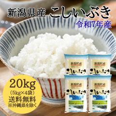 yߘa7NYzVY Ԃ 20kg i5L~4܁j y ꑗ{2,200~z  20L   ߘa7N 20kg  