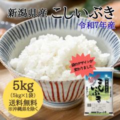 �y�ߘa7�N�Y�z�V�����Y �������Ԃ� 5kg �i5�L���~1�܁j �y�������� ������ւ͑���2,200�~�z �� 5�L�� �������� ���� �ߘa7�N 5kg ���� 5
