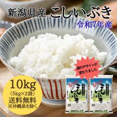�y�ߘa7�N�Y�z�V�����Y �������Ԃ� 10kg �i5�L���~2�܁j �y�������� �����ꑗ��+2,200�~�z �� 10�L�� �������� ���� �ߘa7�N 10kg ���� 1