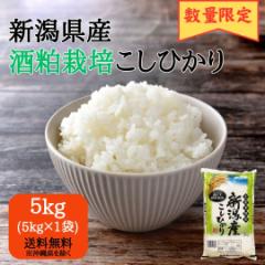 令和6年産】魚沼産 コシヒカリ 5kg （5キロ×1袋） 【送料無料 ※沖縄別送+2,200円】 米 5キロ 送料無料 お歳暮 贈り物 精米 特A  令和6年 5kg 産地直送 ギフトの通販はau PAY マーケット - 新潟おこめ市場 au PAY マーケット店 | au PAY  マーケット－通販サイト