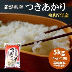 yߘa7NYzVY  5kg i5L~1܁j y ꑗ+2,200~z  5L   ߘa7N 5kg  5kg 