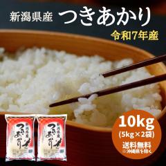 yߘa7NYzVY  10kg i5L~2܁j y ꑗ+2,200~z  10L   ߘa7N 10kg  1