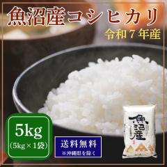 �y�ߘa7�N�Y�z�����Y �R�V�q�J�� 5kg �i5�L���~1�܁j �y�������� ������ʑ�+2,200�~�z �� 5�L�� �������� ���Ε� ���蕨 ���� ��A �ߘa7