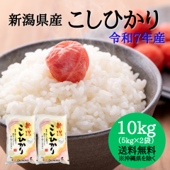 Vāyߘa7NYz VY RVqJ 10kg Zbg i5L~2܁j y ʑ+2,200~z  10L   