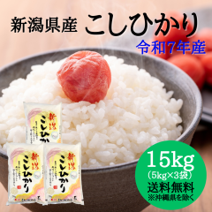 Vāyߘa7NYzVY RVqJ 15kg i5L~3܁j y ʑ+2,200~z  15L   ߘa7N 15k