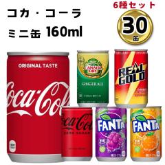 缶ジュース 詰め合わせ ミニ まとめ買い ケース 6種 30本セット 炭酸