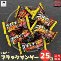 お菓子 詰め合わせ 個包装 子供 有楽製菓 ブラックサンダー ミニバー 12g 25個 クリスマス 駄菓子 業務用 駄菓子詰め合わせセット 駄菓子