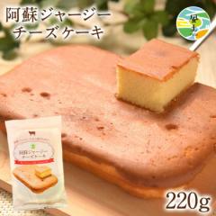阿蘇 ジャージー チーズケーキ ケーキ 送料無料 希少 な ジャージー牛乳使用 スイーツ ポイント消化 買い回り 誕生日《7月末から8月上旬
