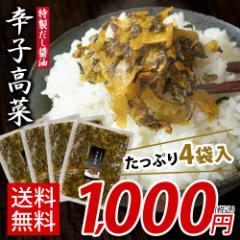 辛子高菜 150g×4袋 600g入 送料無料 1000円 ぽっきり 高菜漬け 高菜 漬け物 たかな 小分け 《1-5営業以内発送予定(土日祝除)》漬物詰め