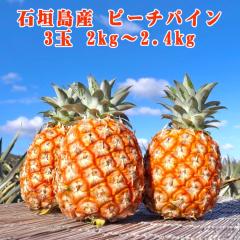 �\��̔� 4����{�����\�� �p�C�i�b�v�� �t���[�c �ʕ� �썑 �M�t�g ��̓� ���ꌧ�Y �Ί_���Y �s�[�`�p�C�� 3�� �p�C���_�ƒ���