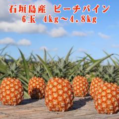 �\��̔� 4����{�����\�� �p�C�i�b�v�� �t���[�c �ʕ� �썑 �M�t�g ��̓� ���ꌧ�Y �Ί_���Y �s�[�`�p�C�� 6�� �p�C���_�ƒ���