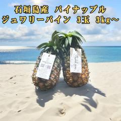 �\��̔� 6�����{�����\�� �p�C�i�b�v�� �n���C�� �t���[�c �ʕ� �썑 �M�t�g ��̓� ���̓� ���ꌧ�Y �Ί_���Y �p�C�i�b�v�� �W�������[