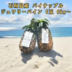 �\��̔� 6�����{�����\�� �p�C�i�b�v�� �n���C�� �t���[�c �ʕ� �썑 �M�t�g ��̓� ���̓� ���ꌧ�Y �Ί_���Y �p�C�i�b�v�� �W�������[