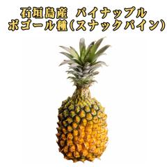 �\��̔� 4�����{�����\�� �p�C�i�b�v�� �{�S�[���� �t���[�c �ʕ� �썑 �M�t�g ��̓� ���ꌧ�Y �Ί_���Y �X�i�b�N�p�C�� �p�C���_�ƒ�