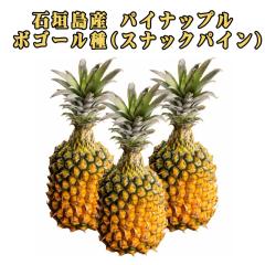 �\��̔� 4�����{�����\�� �p�C�i�b�v�� �{�S�[���� �t���[�c �ʕ� �썑 �M�t�g ��̓� ���ꌧ�Y �Ί_���Y �X�i�b�N�p�C�� �p�C���_�ƒ�