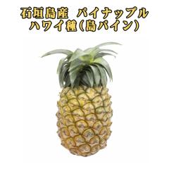 �\��̔� 6�����{�����\�� �p�C�i�b�v�� �n���C�� ���p�C�� �t���[�c �ʕ� �썑 �M�t�g ���̓� ���ꌧ�Y �Ί_���Y �p�C�i�b�v�� �W������