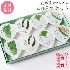 ���|�C���g5�{�� ���N�� 2026 �y�������̐��� �����z���_�ۃ��u��20g 4�� 8�Z�b�g �������� ���s ���� ���N�� �Е� �M�t�g ��N�� �v