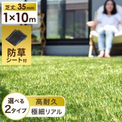 �l�H�� �����A���ɍאl�H�� ���[���^�C�v �h���V�[�g�t 1m�~10m �ё�35mm u���s�� 24�{ ���͂� ���A�� 10m �s�� �Z�b�g ���ϋv ���A���l