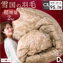 Hѕzc _u O |zc { 呝2.0kg 100% zc [U2.0kg zCg}U[O[X_E95 440dpȏ CILubN