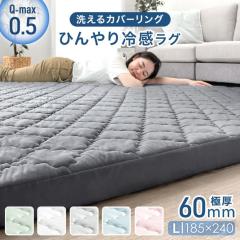 �Ђ���⊴ ���O �ėp ���Ɍ�60mm �􂦂� �J�o�[�����O���O 2.5�� 185�~240 Q-max0.5 �h�� �R�� �h�L �h�_�j ����~�� ���g�[ �Ή� ��