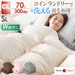 |zc VO Hѕzc RCh[Ő􂦂 { 7Nۏ ̃Lg zCg_bN_E 70 R 2{ 300dpȏ 