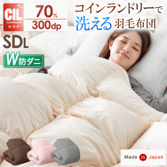 Hѕzc Z~_u O |zc RCh[Ő􂦂 { ̃Lg zCg_bN_E 70 R 2{ 300dpȏ 