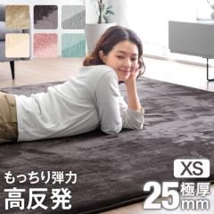 ��������e��! ������ ���O ���� 1�� 90�~180 �Ɍ�25mm ���O�}�b�g 1�� �J�[�y�b�g �t�����l�� �h�� ����~�ߕt ���O �I�[���V�[�Y�� ��