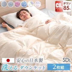 �y���߁`P5%�Ҍ��z �y2���Z�b�g�z �|���z�c �Z�~�_�u�� ���|���z�c ���{�� �􂦂� �_�b�N�_�E��85�� 30�}�X ���̃L���g �_�E���P�b�g �H