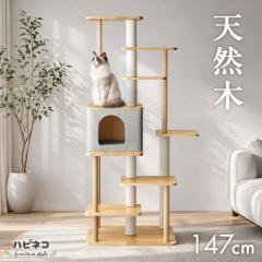 �y���߁`P5%�Ҍ��z �y�\��/�V�����v���C�X!5/10���z �V�R�� �L���b�g�^���[ �ؐ� 147cm �����u�� �܂Ƃ� �L�^���[ �L���b�g �^���[ �u��