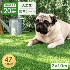 ���|���y�X&�h�b�O������! �ŏ�20mm �������x �l�H�Ł{�h���V�[�g 2m�~10m ���ϋv���A�� ���[�� 2m 10�� �l�H�Ő� �l�H�Ń��[�� u���s�� 