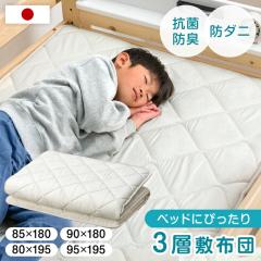 �y���߁`P5%�Ҍ��z �x�b�h�ɂ҂����� ���Y 3�w�~�z�c �R���p�N�g �R�� �h�L �h�_�j 95�~195cm 80�~195cm 85�~180cm 90�~180cm SS�Ή� ��