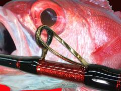 ������� �󒍐���@�@�m�h�O�����b�h �� �A�J���c �o���Ȃ������q�@���������i�����ȊO�j