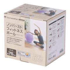 �m���o�[�X�g �t�B�b�g�l�X�{�[�� 75cm ���C�g�p�[�v��  �R�[�i���I���W�i�� SOUTHERNPORT