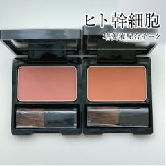 VF} SC `[NJ[ ( bhEIW )  G`[ ϕi ENZY CHELMA SC cheek color `[N J[ jg זERX K