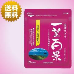 �}�C�P�A �����T�v�� ��]�S�i 30��