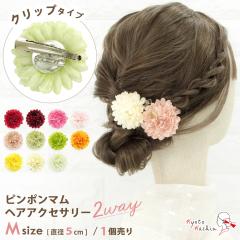 �y4�܂Ń��[���֔���OK�z������ �}�� �N���b�v �Ԍa5cm 1���� �s���|���}�� �|���|���}�� �e �� �w�A�A�N�Z�T���[ �w�A�A�N�Z �w�A�N