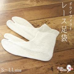 �y2���܂Ń��[���֑��������z���[�X���� ���͂��t�� ���[�X ���� �� ���� �z�� �� ���[�X�^�r ���� ���� �� �a�� ���� ������� ���킢��