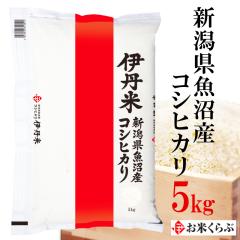 V 5kg  ߘa7NY VY RVqJ j l܂ Ђ   