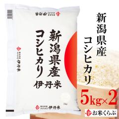 V 10kg(5kg~2)  ߘa7NY VY RVqJ j l܂ Ђ  