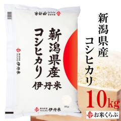 V 10kg  ߘa7NY VY RVqJ j l܂ Ђ   