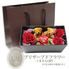 �t�����[�{�b�N�X �v���U�[�u�h�t�����[ ���[�Y �o�� �K�N �� �x�A�[ �N�}���� �F �ʂ������ �n�[�g �a���� �L�O�� �y�A�����O��y�A�l