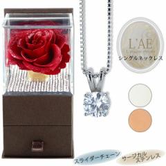 �l�b�N���X ���f�B�[�X �����A�����M�[ �v���U�[�u�h�t�����[ 1�� �y���_���g �X���C�_�[�`�F�[�� �V���o�[�J���[ �W���G���[ �X���C�_�[