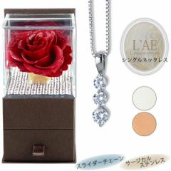 �l�b�N���X ���f�B�[�X �����A�����M�[ �v���U�[�u�h�t�����[ 3�� �y���_���g �X���C�_�[�`�F�[�� �V���o�[�J���[ �W���G���[ �X���C�_�[